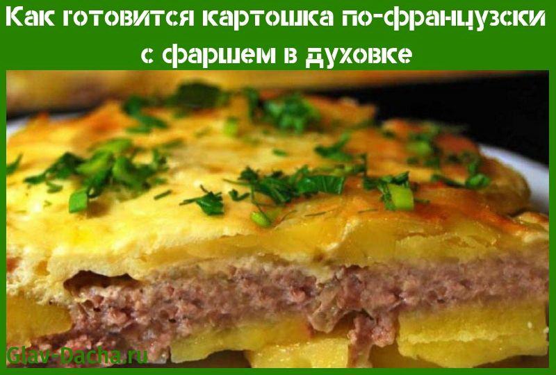 French fries with minced meat in the oven