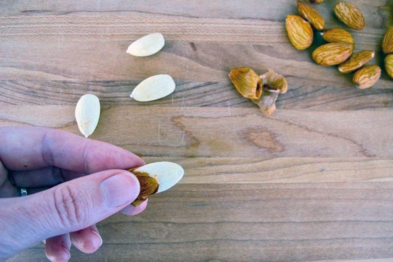 peeling nuts