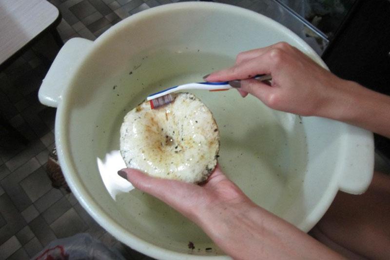 sienien valmistelu suolaa varten