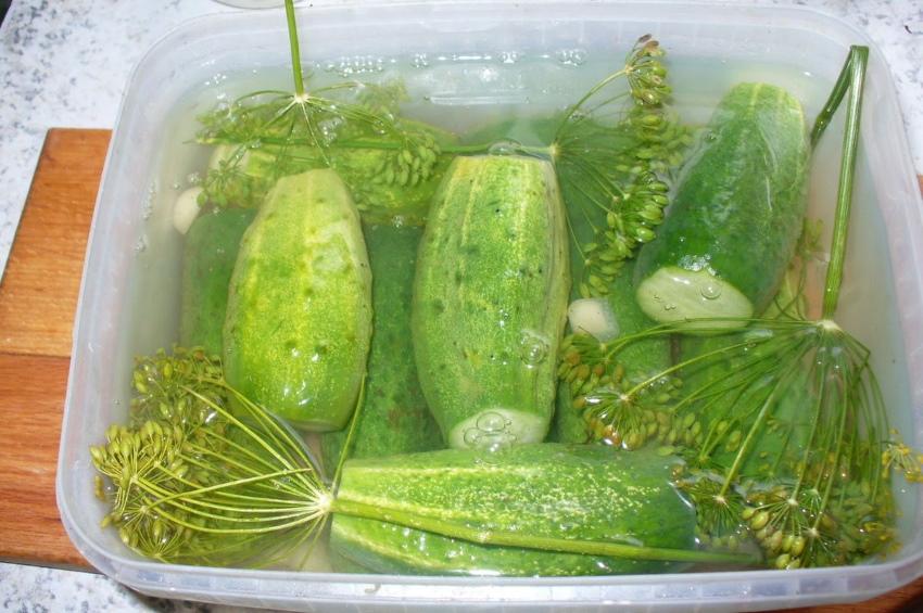 lightly salted cucumbers