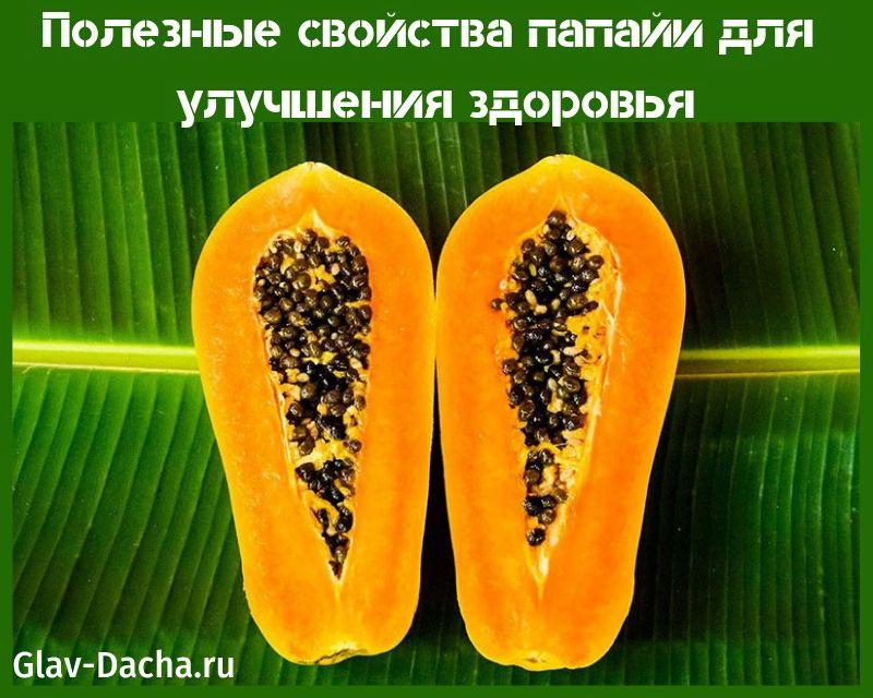 fördelaktiga egenskaper hos papaya