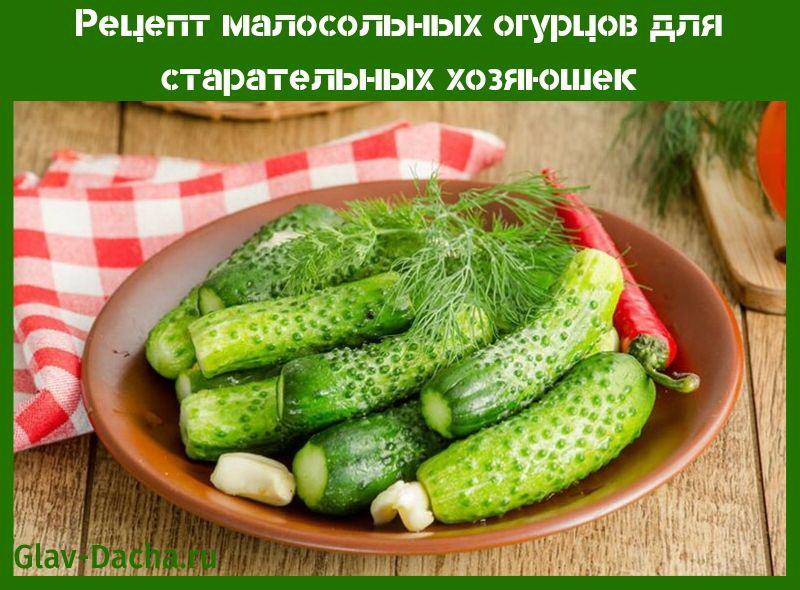 opskrift på saltede agurker