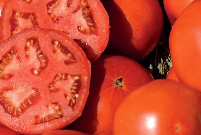 tomaat fruit weggesneden