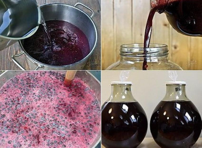 في أي طبق يمكنك صنع نبيذ العنب