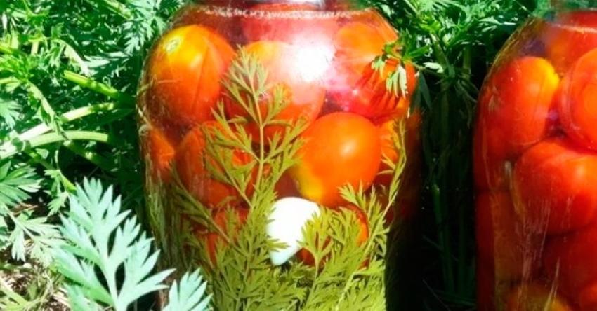 kako soliti rajčice vrhovima mrkve