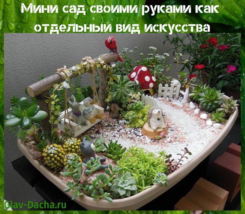 DIY mini zahrada
