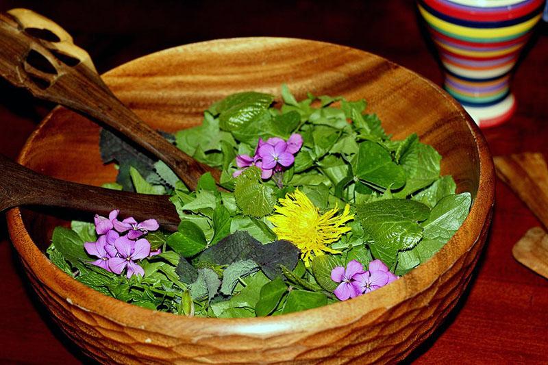 βρώσιμη σαλάτα λουλουδιών