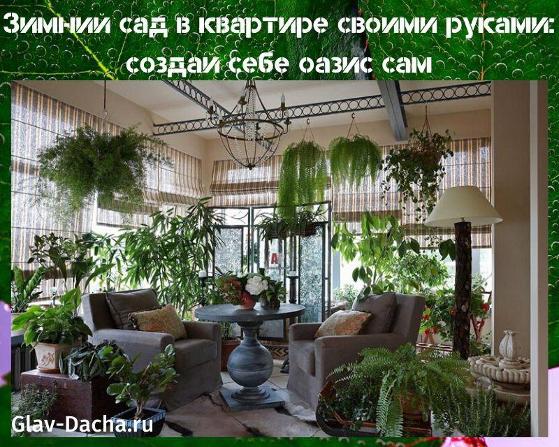 jardin d'hiver dans l'appartement de vos propres mains