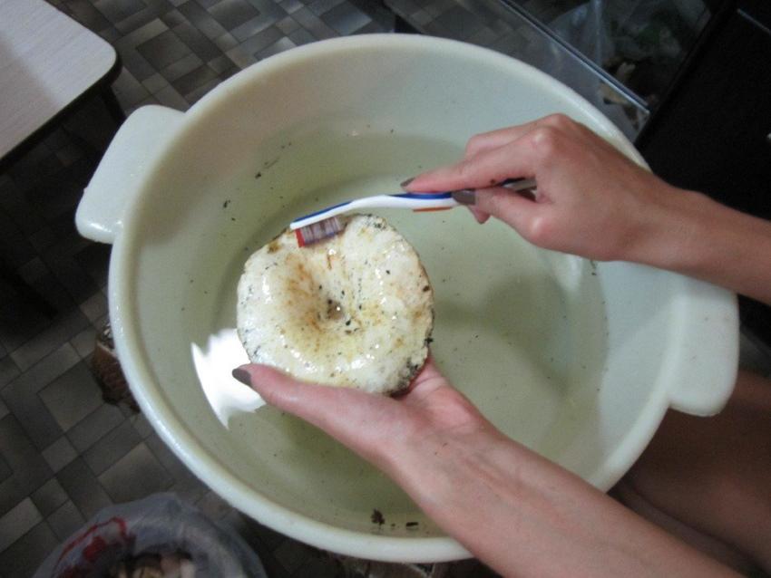 cleaning white milk mushrooms