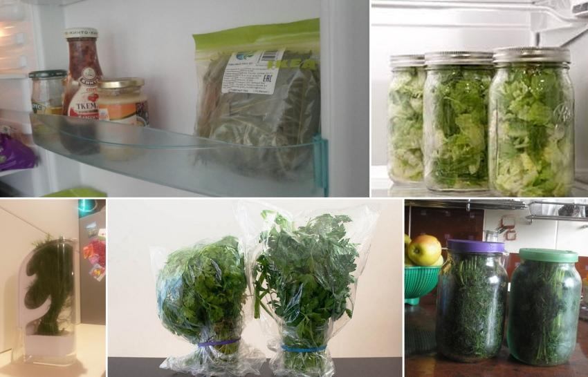 kā ilgstoši uzglabāt zaļumus ledusskapī