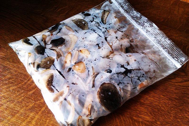 bevroren champignons in een zak
