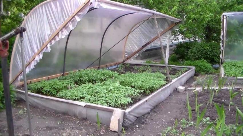 how to make a warm greenhouse for seedlings