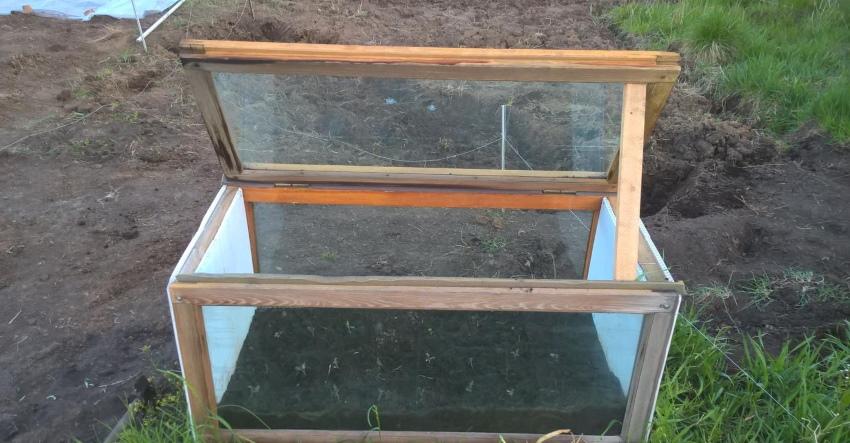 greenhouse for seedlings
