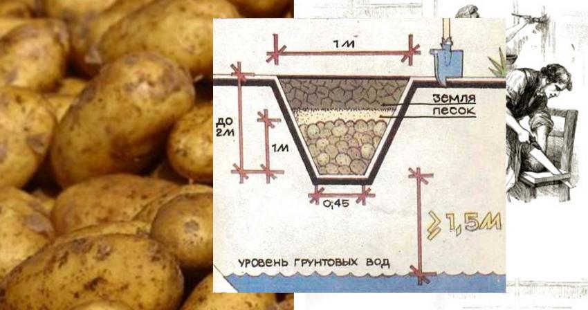 how to make a pit potato pile