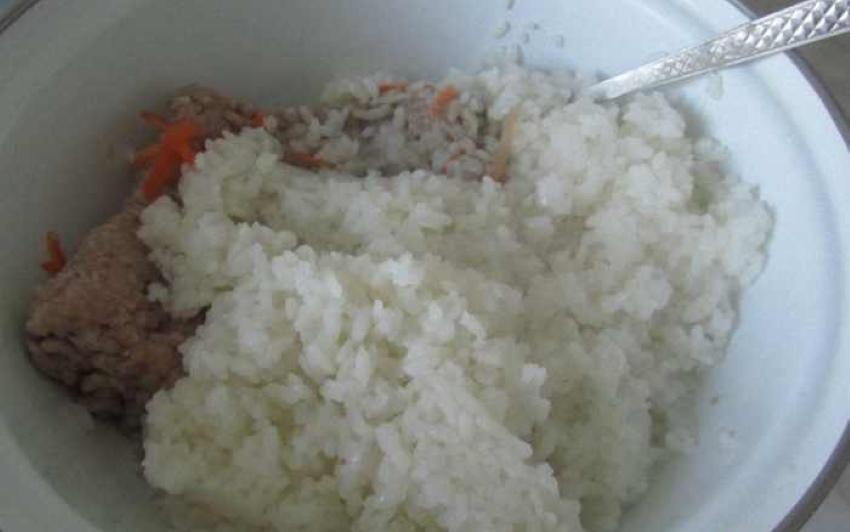 arroz para repolho recheado