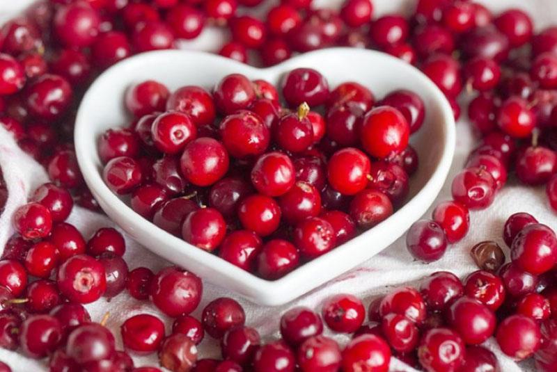 the value of lingonberries