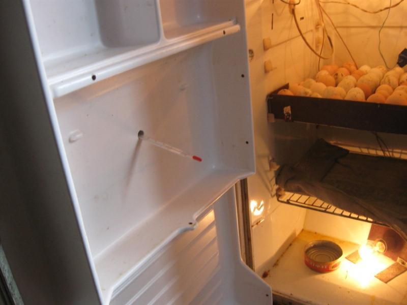 DIY inkubátor z chladničky