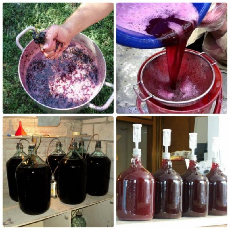 како се прави вино од грожђа