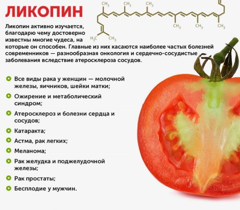 đặc tính hữu ích của cà chua