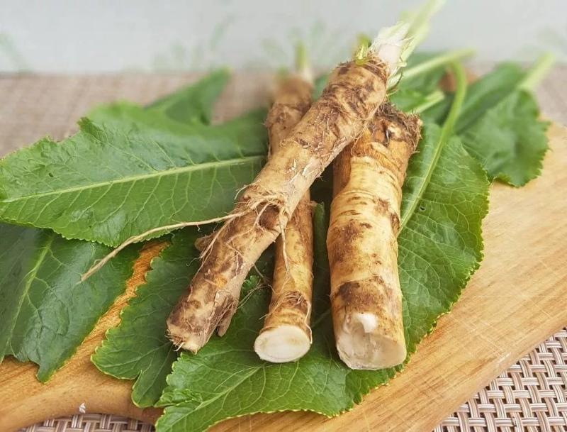 horseradish root useful properties and contraindications