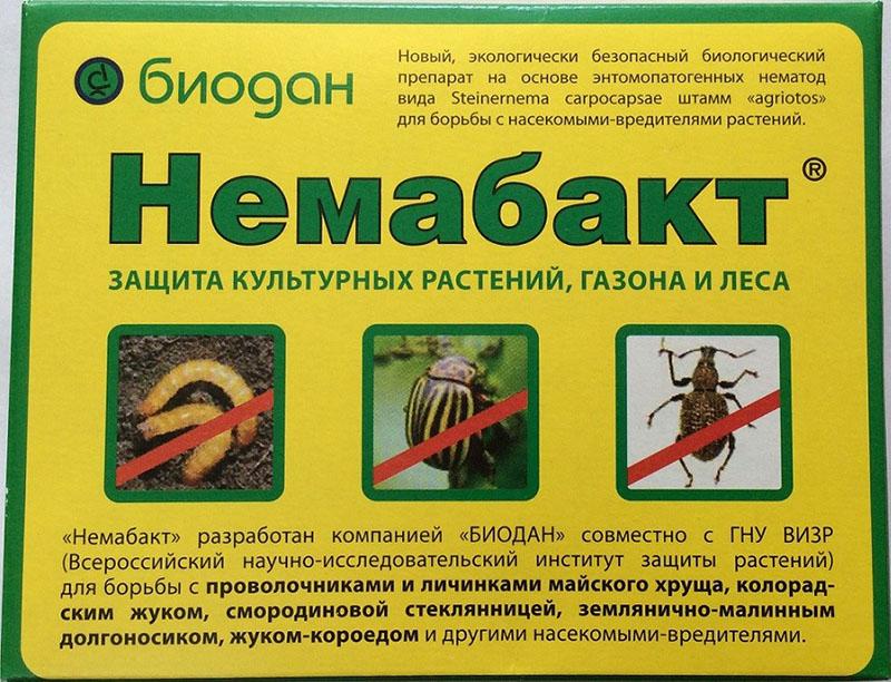 istruzioni per l'uso del nemabact per la protezione delle piante coltivate