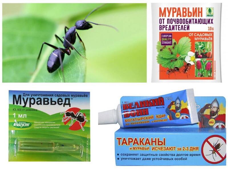 препарати за мравки