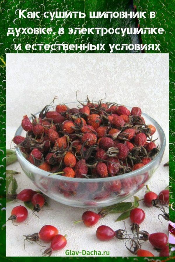 how to dry rose hips