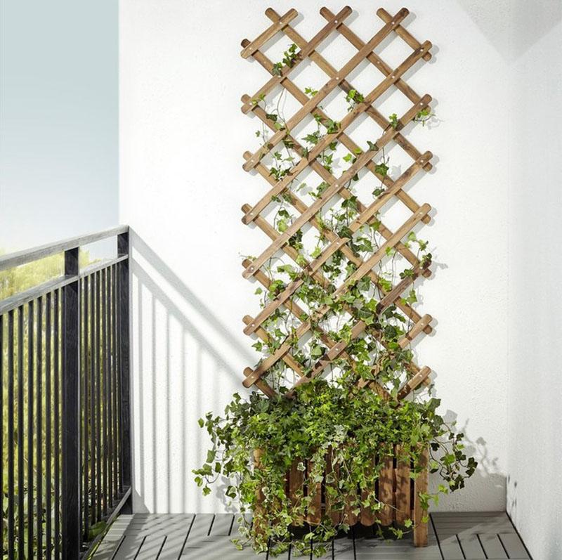 градинска решетка за катерене на растения