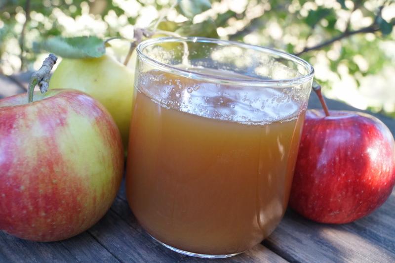gavnlige egenskaber af æblejuice