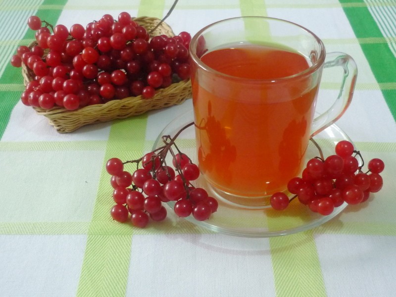 tè medicinale con viburno