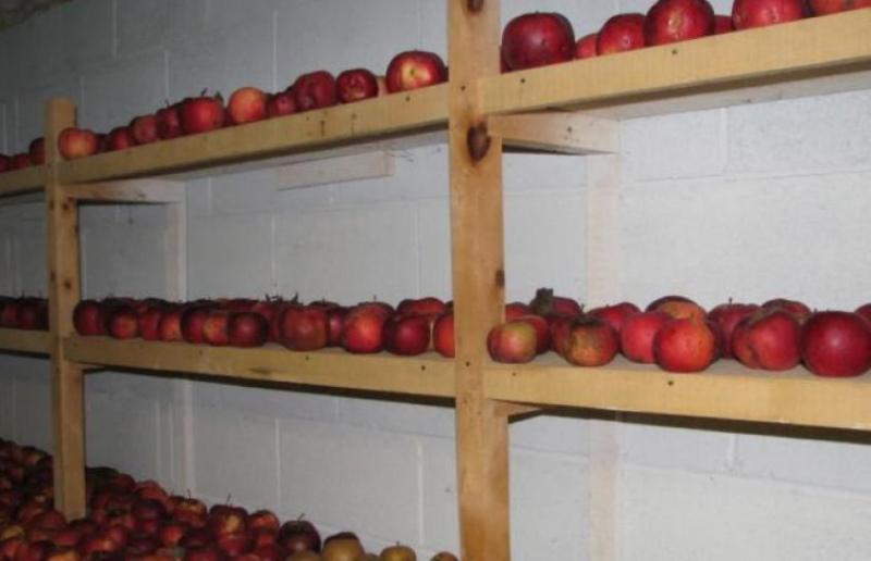 κρατώντας τα μήλα στο ράφι
