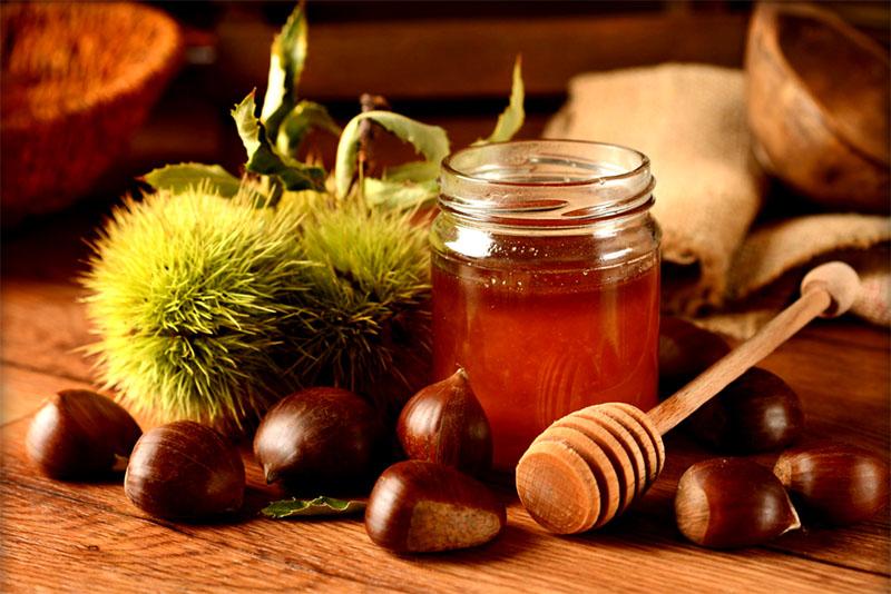 teknolohiya para sa paggawa ng chestnut honey