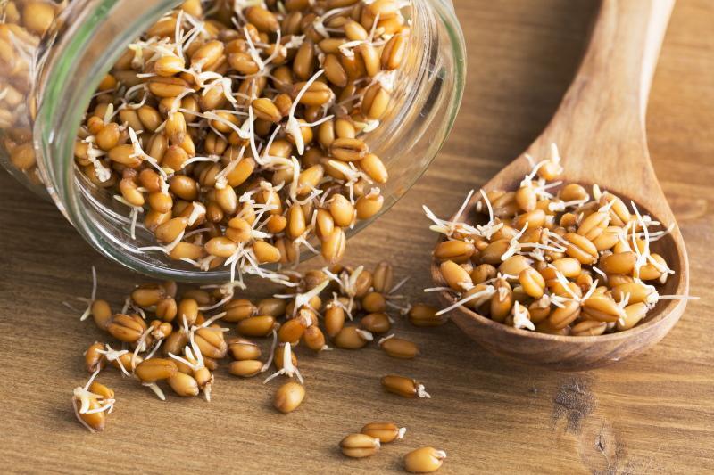 ползи и вреди от пшеничен зародиш