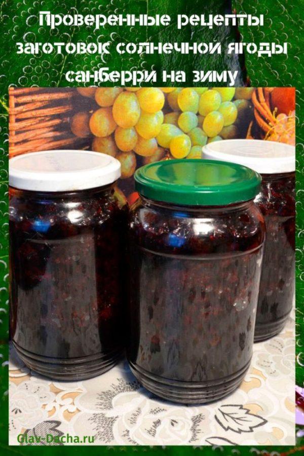 recetas soleadas de sunberry en blanco