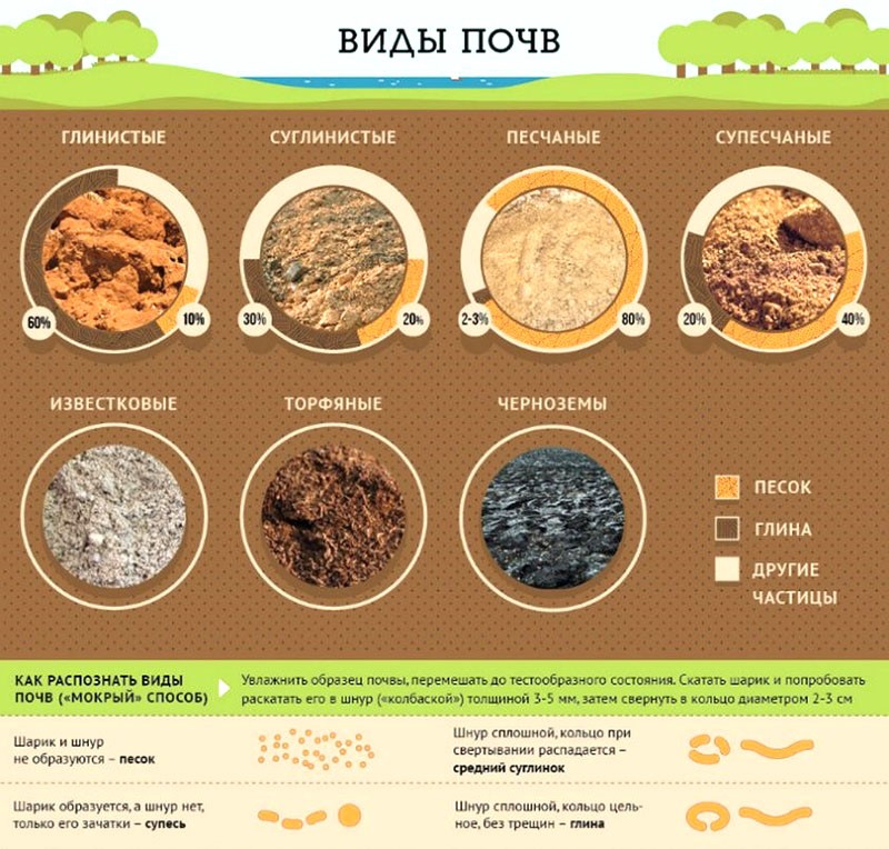 soil types
