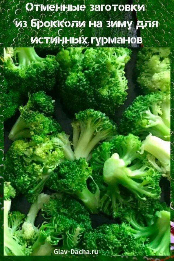 preparaciones de brócoli para el invierno