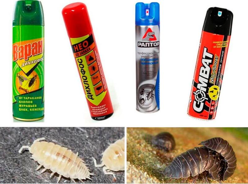 wood lice insecticides