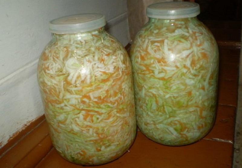 how to ferment cabbage correctly