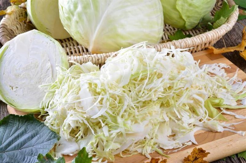 what cabbage is better to ferment for the winter