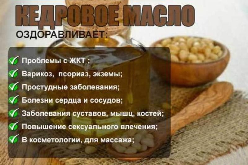 korisna svojstva ulja oraščića cedrovine