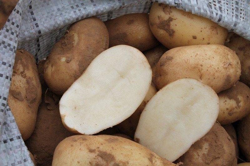 opengewerkte aardappelknollen