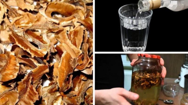 walnut septum medicinal properties