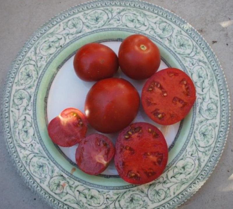 yamal pomidorų vaisiai