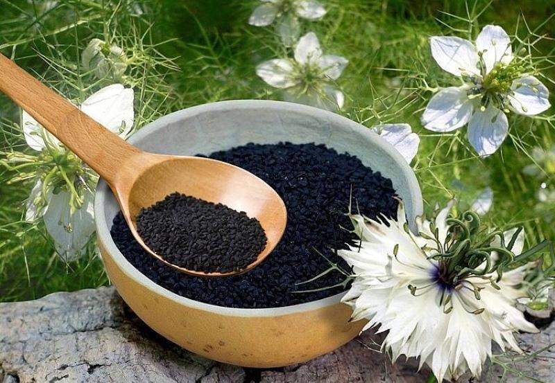 black cumin medicinal properties and contraindications