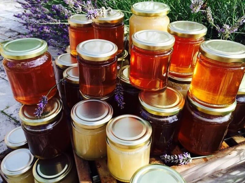 useful properties of flower honey