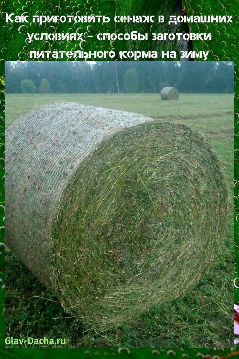 how to make haylage at home