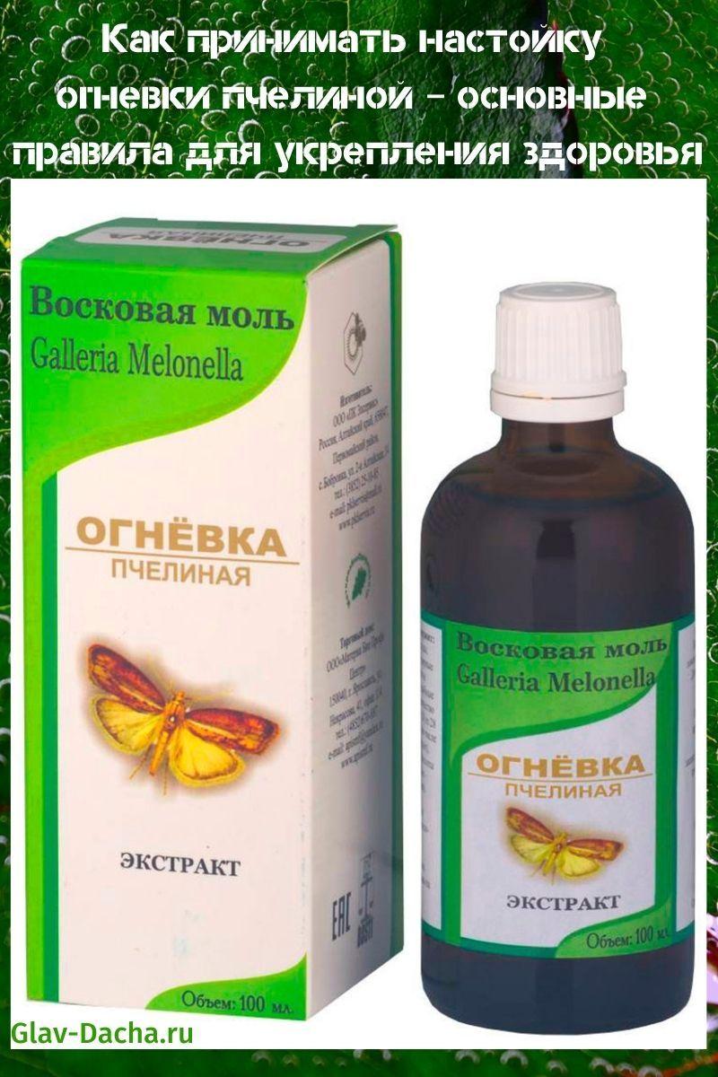 How to take bee moth tincture - compositional features and beneficial properties. Features of the drug, rules of admission, recipes for self-preparation. Indications and contraindications for the use of moth tincture.