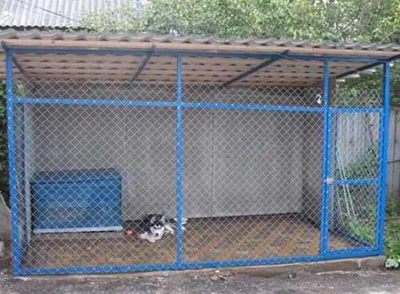 dog enclosure sizes