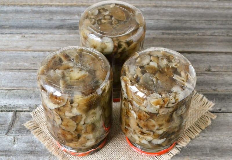 canning mushrooms for the winter in jars