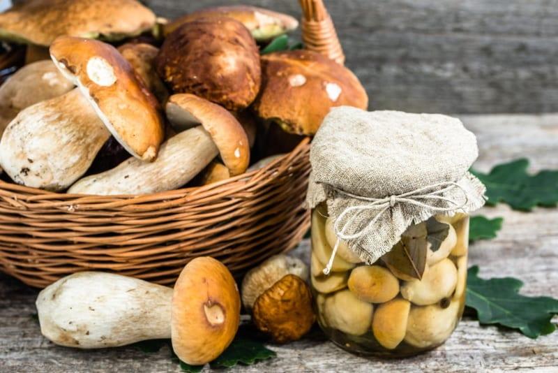 hur man betar svampar för vintern